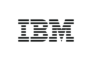 IBM Smarter Workforce