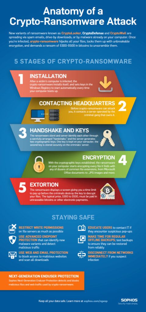 crypto-ransomware-stages-479x1024-1